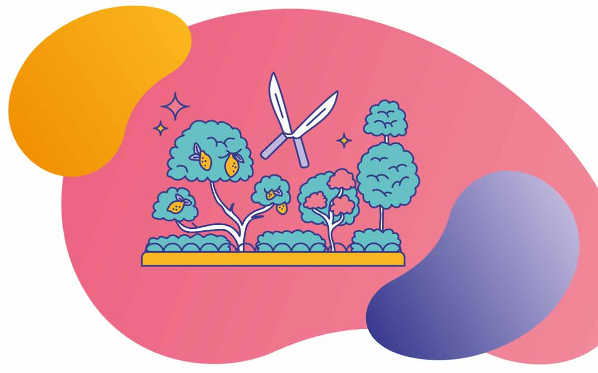 Taille de haie et arbres fruitiers dans le Loir-et-Cher Taille de haie et arbres fruitiers dans le Loir-et-Cher